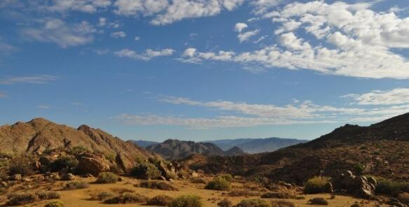 37 Kleine Karoo Large 583 296 S C1 C C 0 0 1